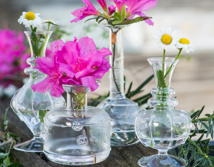 Miss Bud Vases