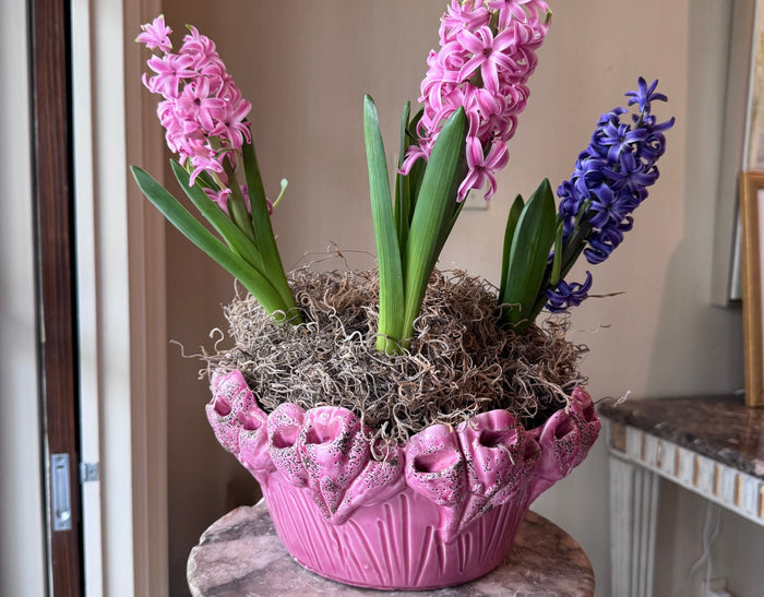 Les Fleur