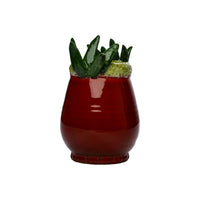 Tomato Vase