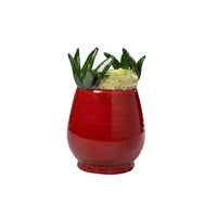 Tomato Vase