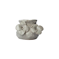 Small White Vase with White Flowers