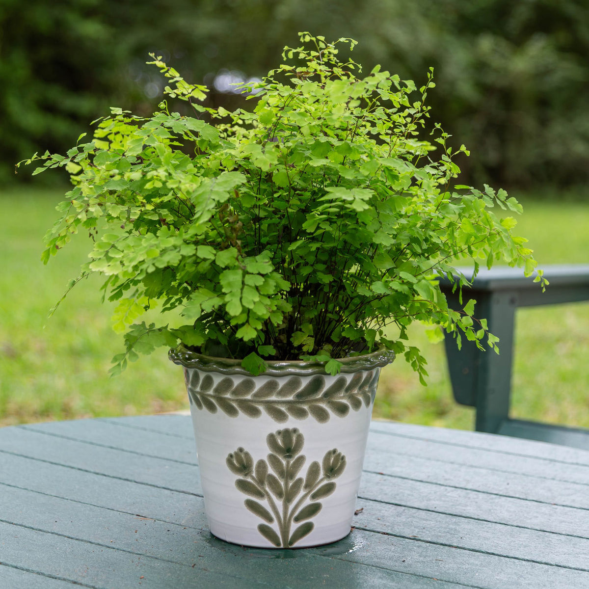 Medium Green Thumbprint Pot