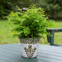 Medium Green Thumbprint Pot