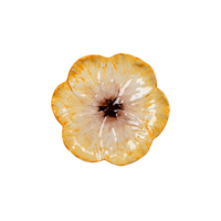 Elisabetta Flower Dessert Plate, Yellow
