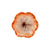 Elisabetta Flower Dessert Plate, Orange