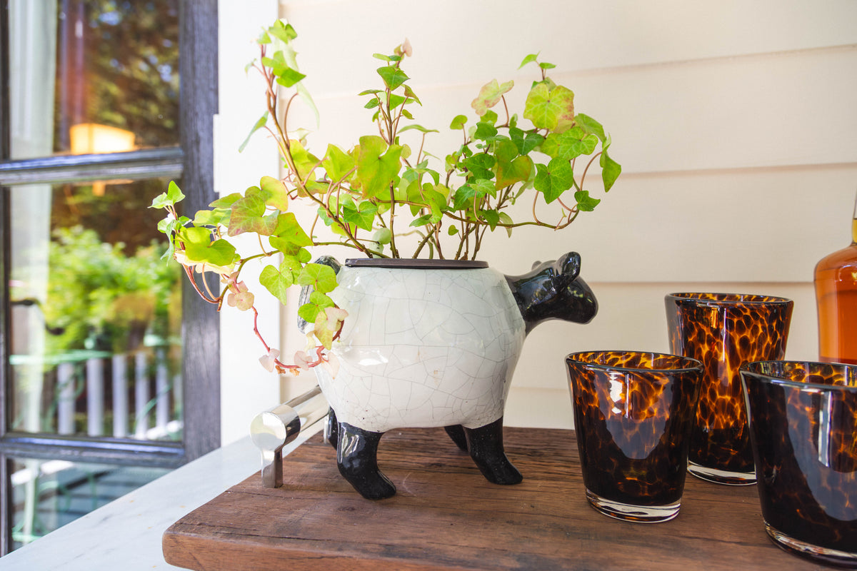 Torcello Tortoise Highball