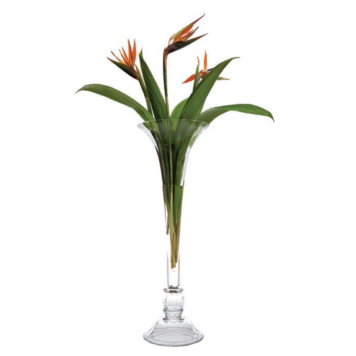 Classic Glass Vase, Paris Collection