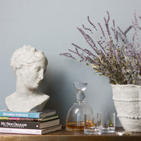 Pompeii Venus Bust, Gray