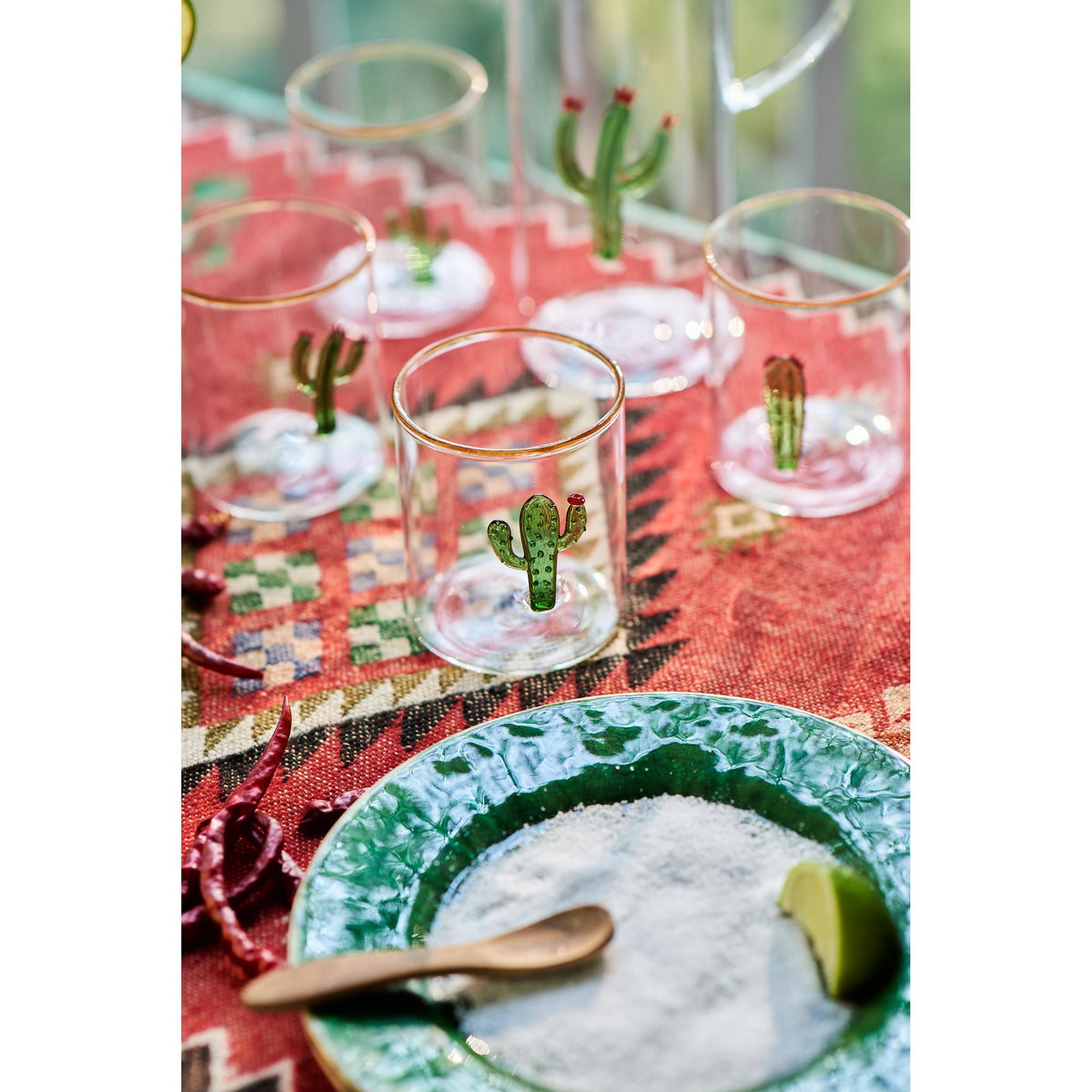 Aztec Cactus Tumbler, Set/4