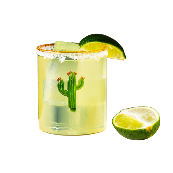 Aztec Cactus Tumbler, Set/4